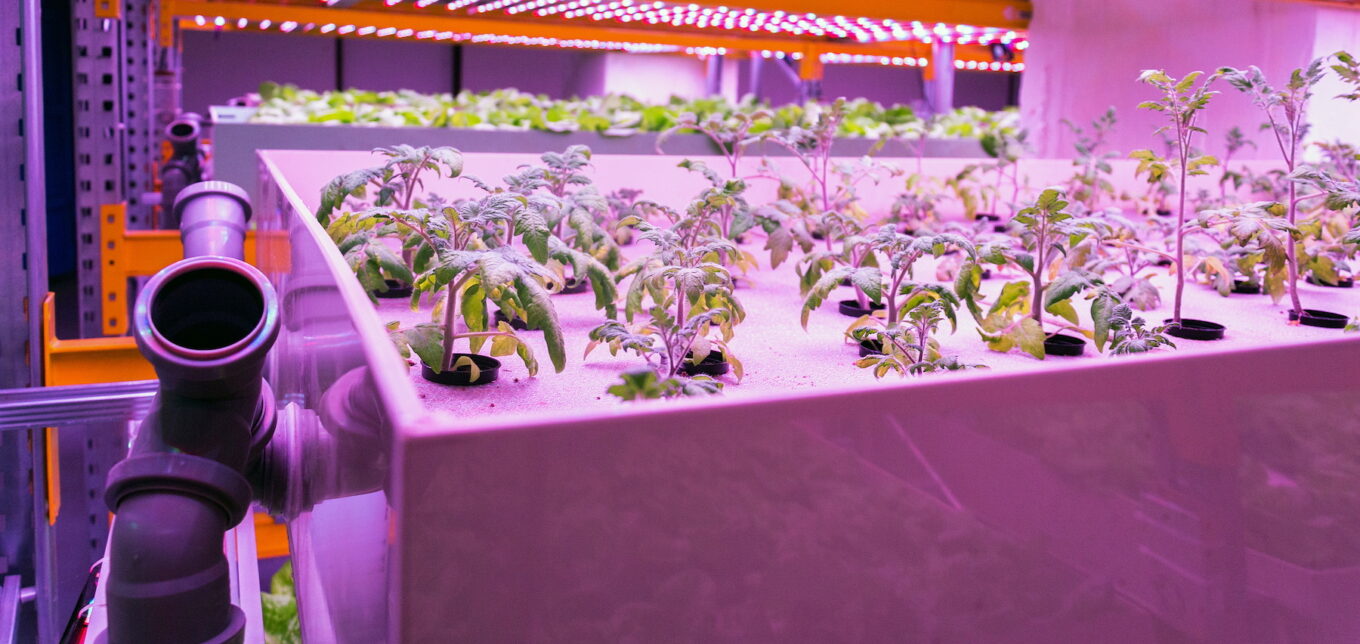Ep. 42 What is Aquaponics? – Mother Earth News - Vimarsana News
